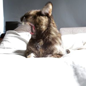 Meet your Posher, Christinakoskidesign